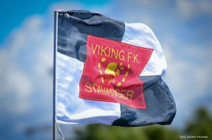 Viking-flagg.