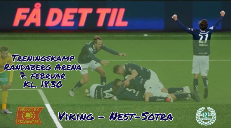 Viking -Nest-Sotra