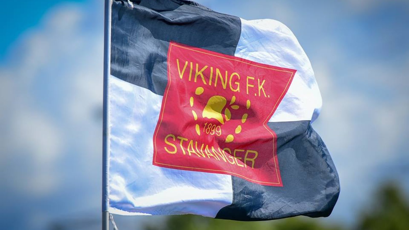 Viking-flagg.