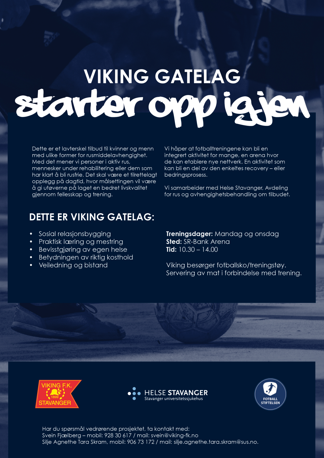 Viking gatelag